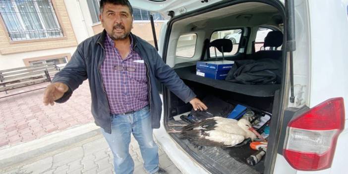 Konyalı vatandaştan alkışlanacak hareket! Yaralı leyleği kaderine bırakmadı