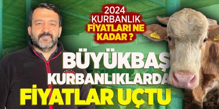 Büyükbaş kurbanlıklarda fiyatlar uçtu