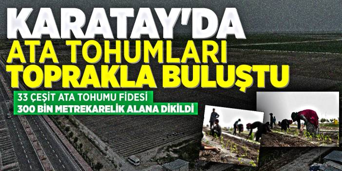 Karatay'da ata tohumları toprakla buluştu! 33 çeşit ata tohumu fidesi 300 bin metrekarelik alana dikildi
