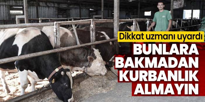 Bu hususlara dikkat etmeden kurbanlık almayın! Salyası akan hayvan alınır mı? Kaç yaşında olması gerekir?