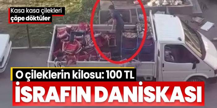 İsrafın daniskası! Satılmadı diye sinirlendi, kilosu 100 TL olan kasa kasa çilekleri böyle çöpe döktüler
