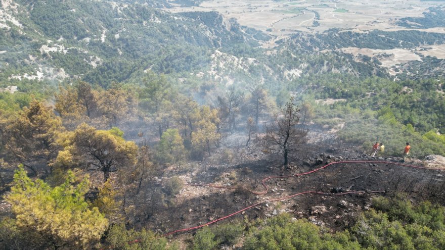 GÜNCELLEME - Manisa'daki orman yangını kontrol altına alındı