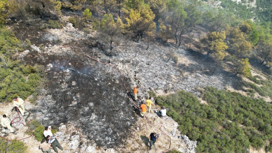 GÜNCELLEME - Manisa'daki orman yangını kontrol altına alındı