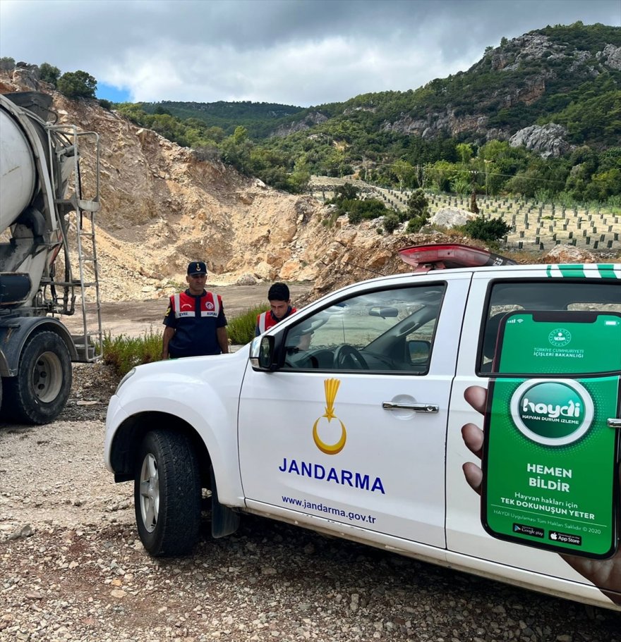 Antalya'da boş araziye beton döken 2 mikser şoförü ile şirkete para cezası verildi