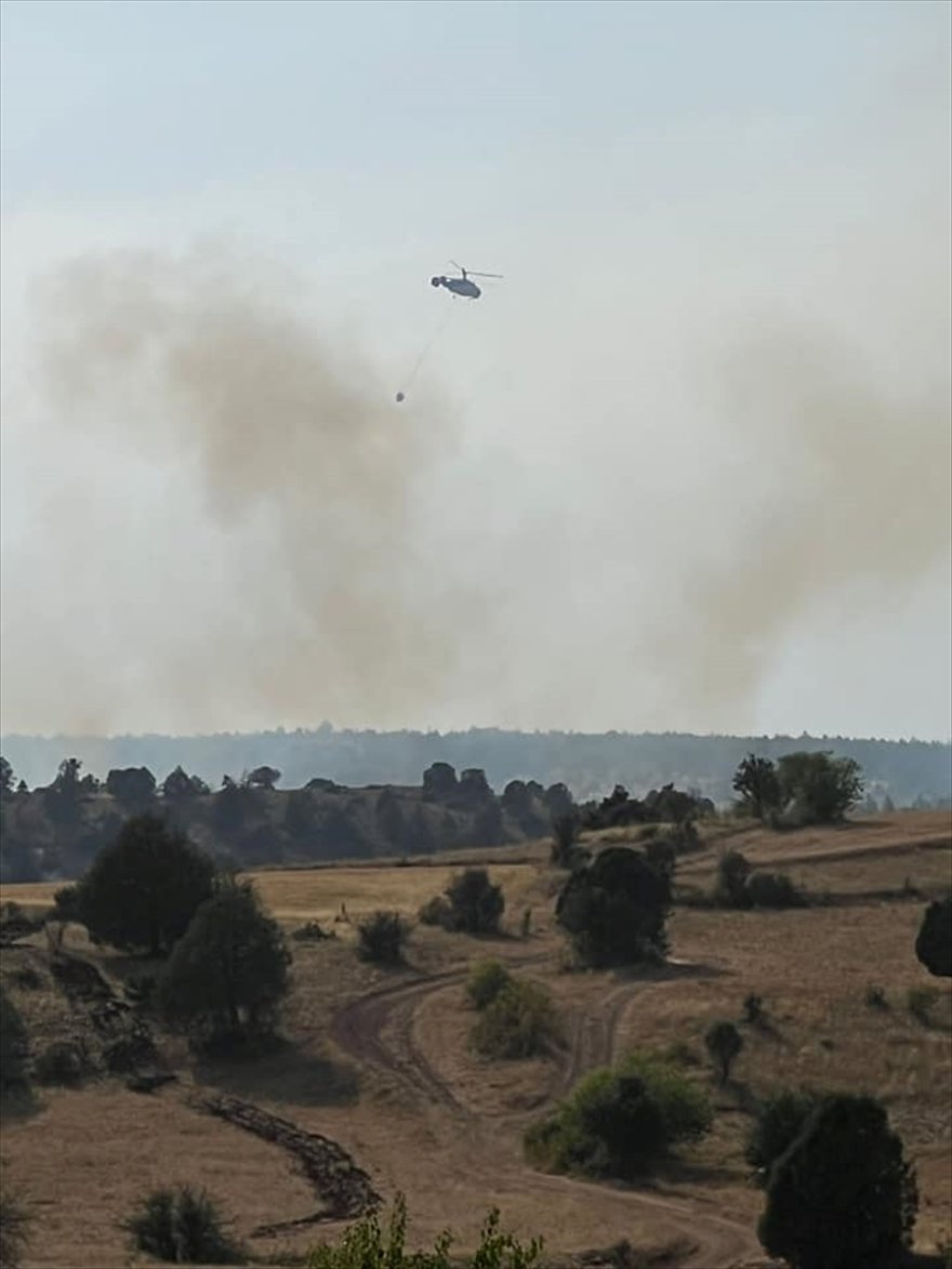 GÜNCELLEME - Erzincan'da ormanlık alanda çıkan yangın söndürüldü
