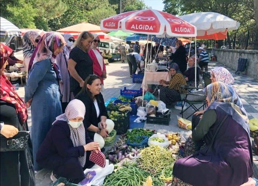 Eskişehir'de AK Parti'li kadınlar ilçe ziyaretlerini sürdürüyor
