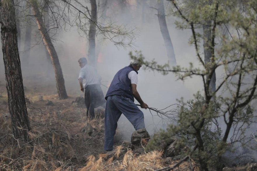 Hatay'da ormanlık alanda çıkan yangına müdahale ediliyor