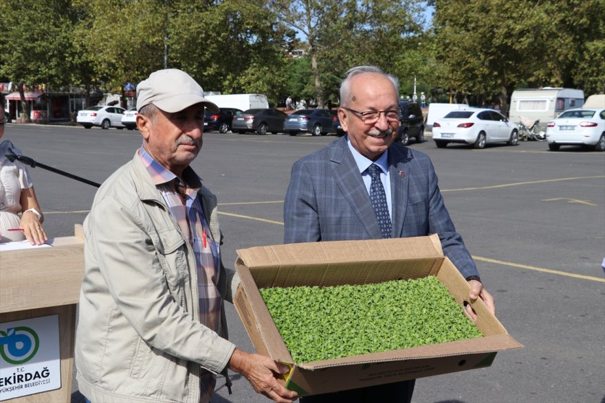 Tekirdağ'da üreticilere 125 bin sebze fidesi dağıtıldı