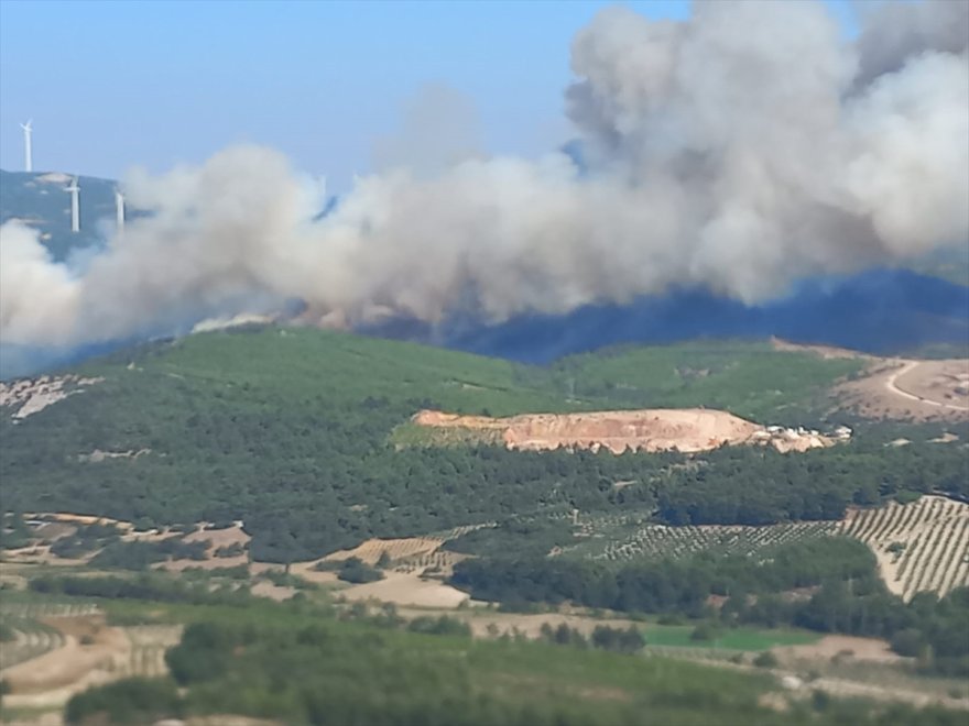 Manisa Soma'da bir orman yangını daha çıktı