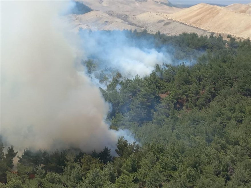 Manisa'da çıkan orman yangınına müdahale ediliyor