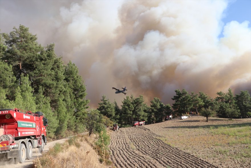 GÜNCELLEME - Denizli-Muğla sınırında orman yangını çıktı