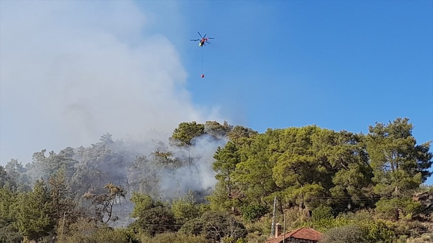 GÜNCELLEME - Antalya'da çıkan orman yangını kontrol altına alındı