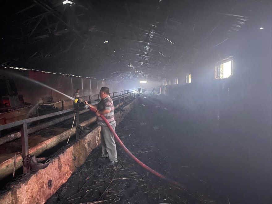 Kulu'da besihanede çıkan yangın hasara neden oldu