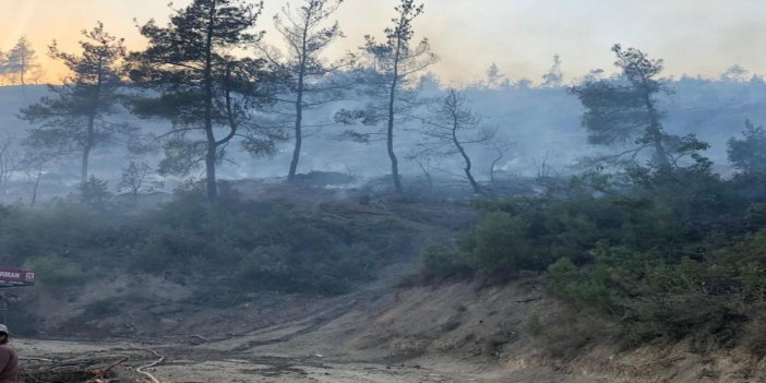 bilecik-orman-yangini-001.jpg