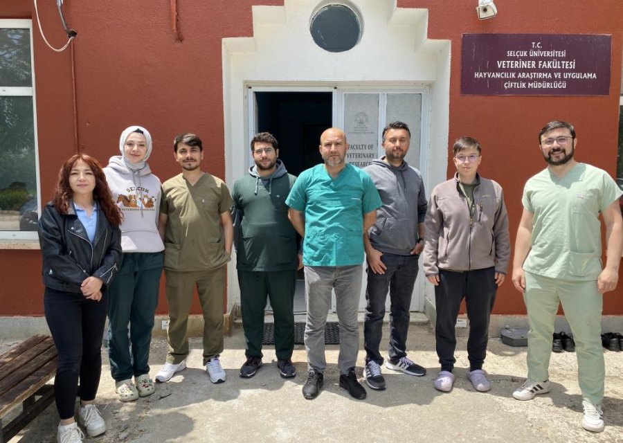 selcuk-universitesi-veteriner-001.jpg