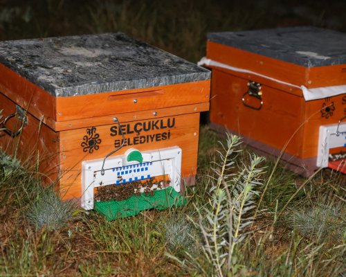 selcuklu-belediyesi-arili-kovan-destegi-001.jpg