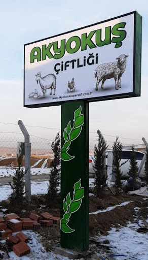 akyokus-ciftligi.jpg