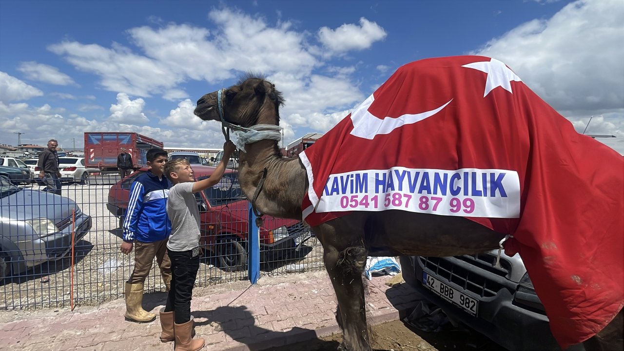 aw713432-02.jpg
