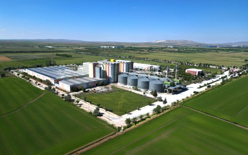 golda-gidanin-halka-arz-basvurusu-onaylandi.jpg