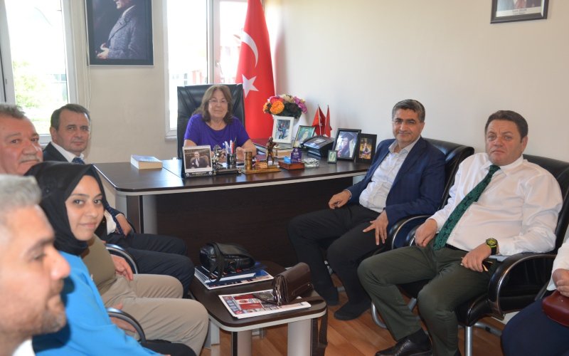 deva-partisi-002.jpg