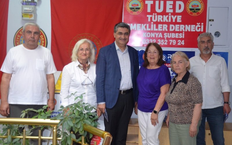 deva-partisi.jpg