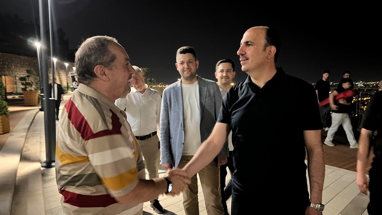 palye2.jpg
