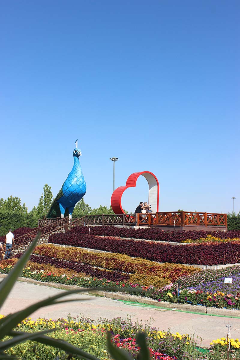 selcuklu-cicek-bahcesi-005.jpg