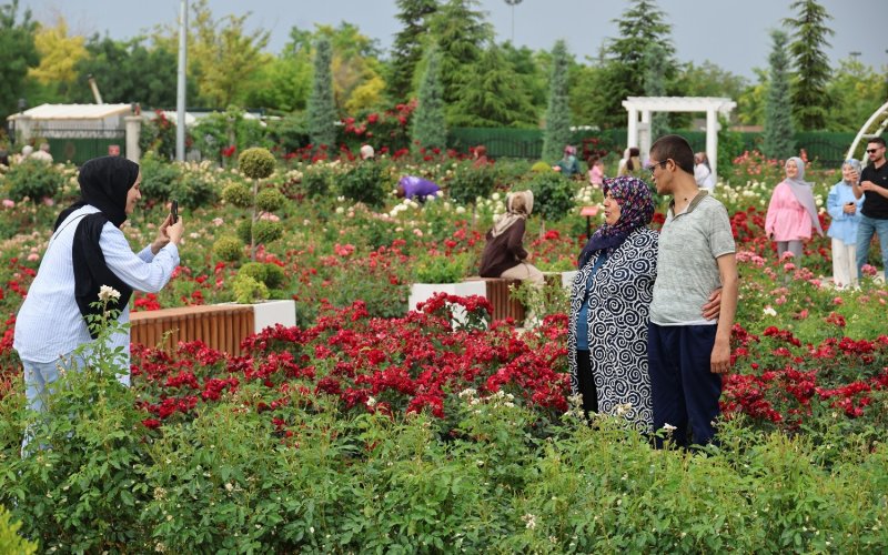 karatay-lavanta-ve-gul-bahcesi-005.jpg