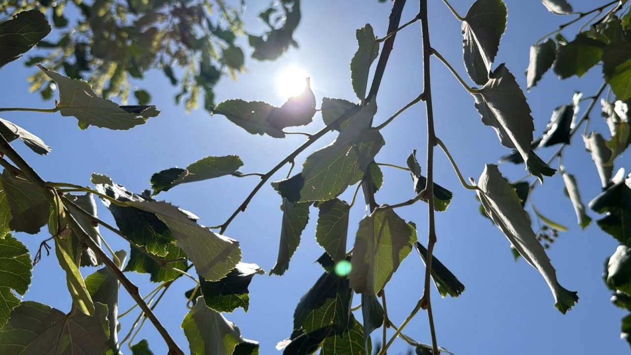 aw755366-03.jpg