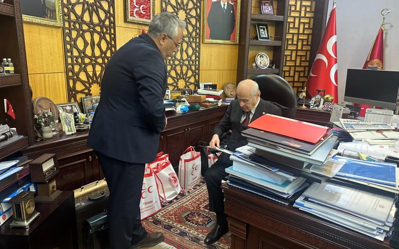 miiliyetci-hareket-partisi.jpeg