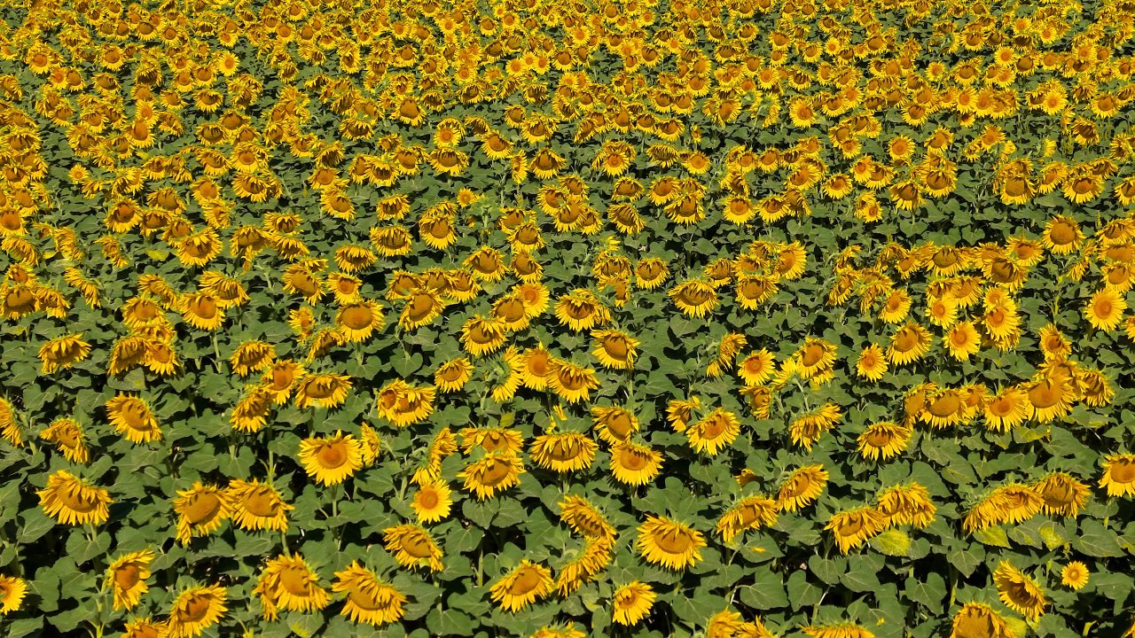aw783041-02.jpg