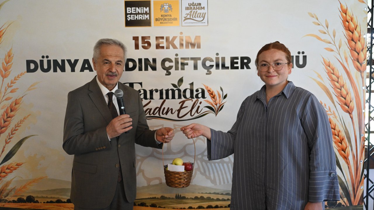 xnyaazyc0lql1alipcvdkviasng3l9ifdatcz9zk.jpg